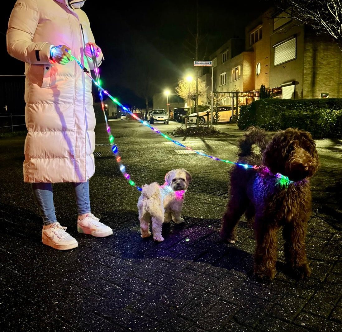 Het belang van verlichte LED-hondenhalsbanden en -riemen bij het uitlaten van je hond in het donker - By Lilo