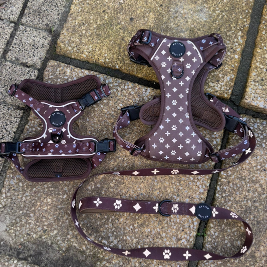 Bruin Reflecterende Harnas + Riem Bundel