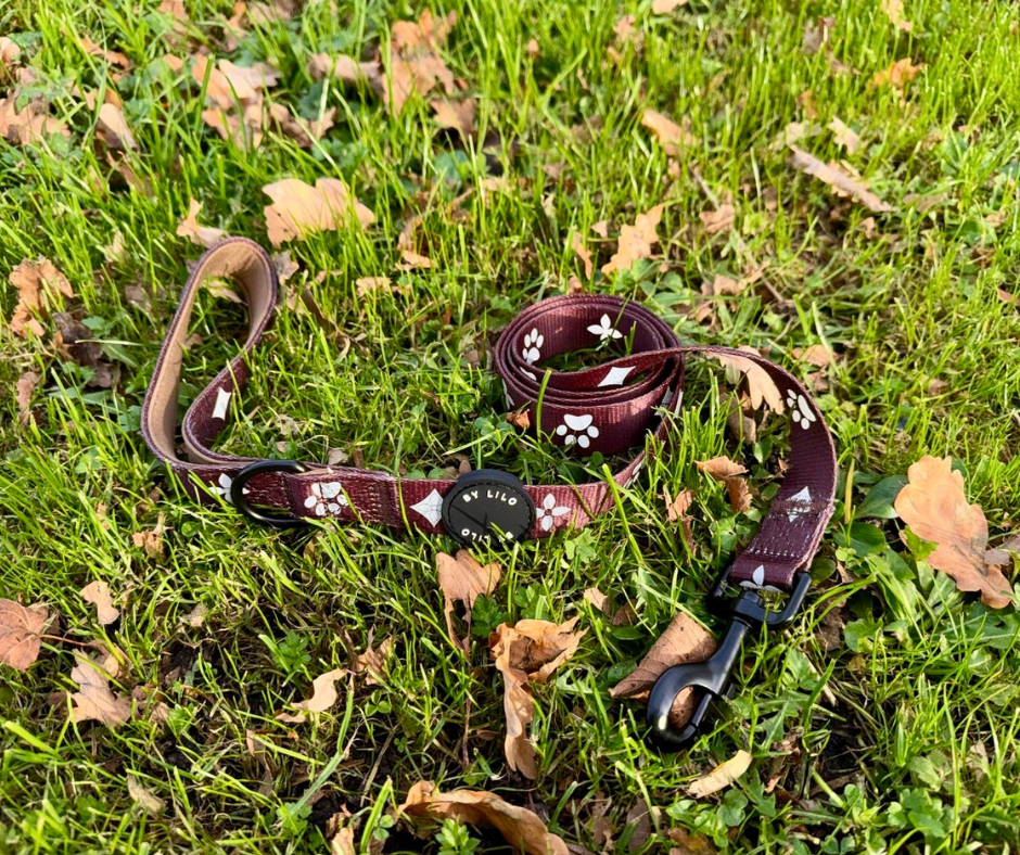 Reflecterende bruine hondenriem