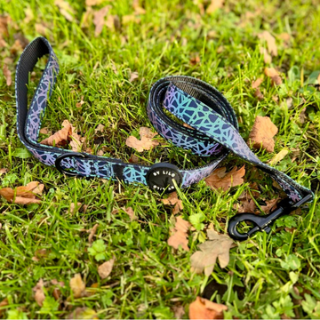 Reflecterende mulitcolour hondenriem