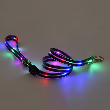 Leuchtende LED-Hundeleinen