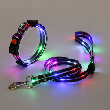 LED-Halsband- und Leinenkombination 